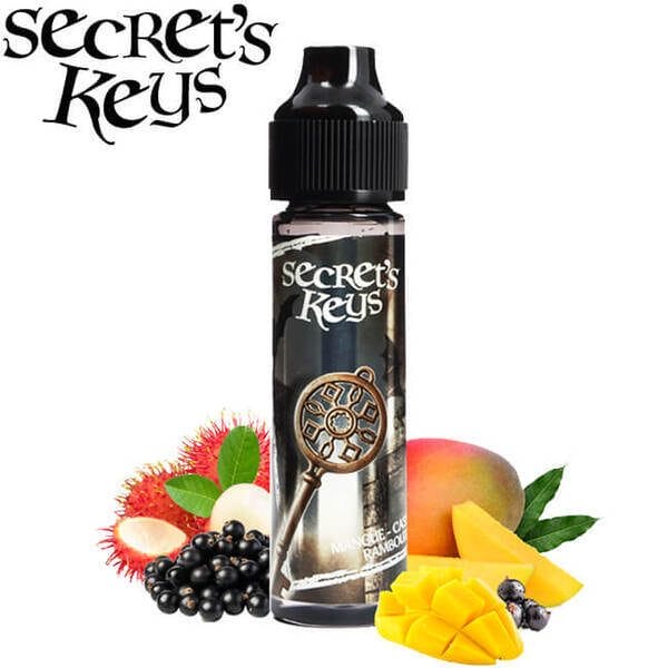SECRET'S KEYS SYLVER KEY MANGUE CASSIS