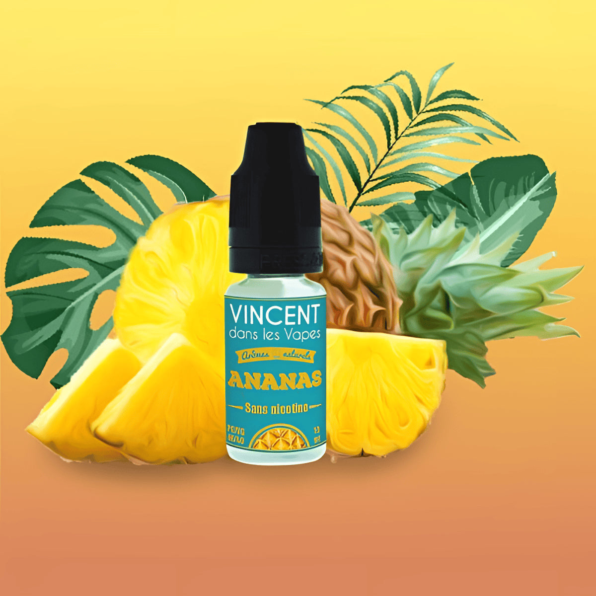 ANANAS - VDLV